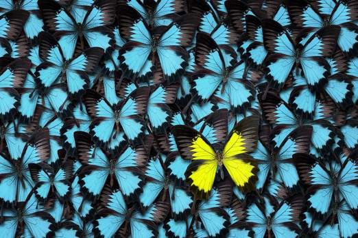 DIFFERENCE DICTIONARY DEFINITION visual data 8